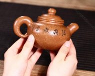 《掇球經霜傲雪灑金》