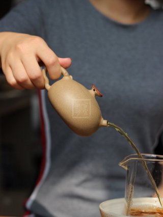 《老樹靈芝》 《老樹靈芝》