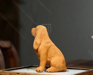 《金毛狗》 《金毛狗》