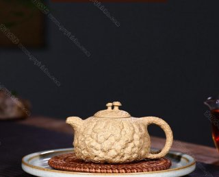 靈芝供春 靈芝供春