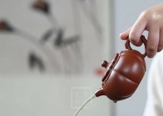 《菱花海棠》 《菱花海棠》