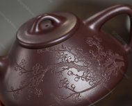 瓣生香獨傲寒，此梅難并眾梅看。 【