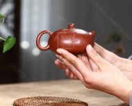 《扁乳西施鳥趣》