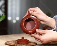 《扁乳西施鳥趣》