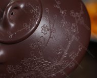 瓣生香獨傲寒，此梅難并眾梅看。 【