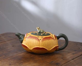 青蛙蓮子 青蛙蓮子