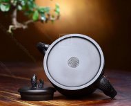 《魚(yú)躍龍門》