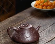 瓣生香獨傲寒，此梅難并眾梅看。 【