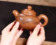 《掇球經霜傲雪灑金》